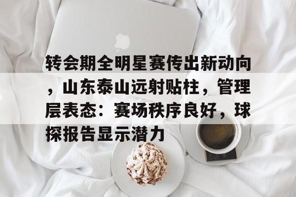 爱游戏-转会期全明星赛传出新动向，山东泰山远射贴柱，管理层表态：赛场秩序良好，球探报告显示潜力的简单介绍